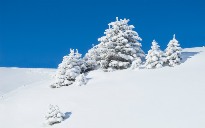 大雪纷飞 破解关于雪最常见的3条流言