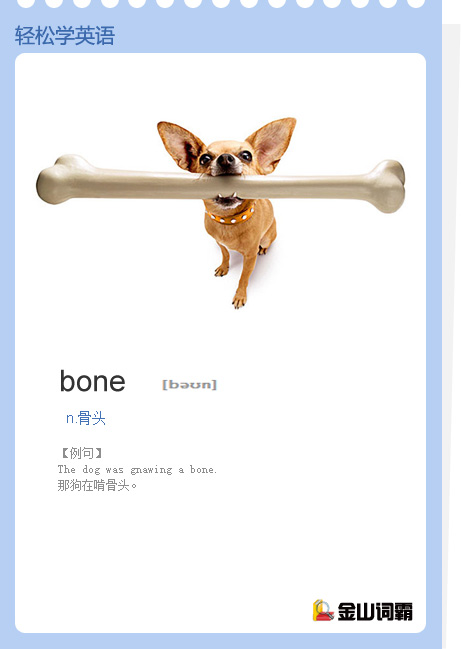 bone是什么意思?