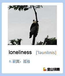 金山词霸单词 loneliness