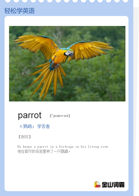 parrot是什么意思?