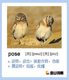 pose是什么意思？