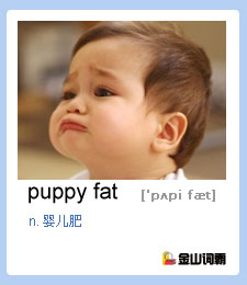 puppy fat 是什么意思？婴儿肥用英文怎么说？