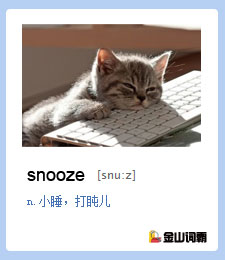 金山词霸单词snooze是什么意思？打盹打瞌睡英语怎么说？