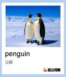 金山词霸单词penguin是什么意思？企鹅英文怎么说？